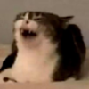 khangha64